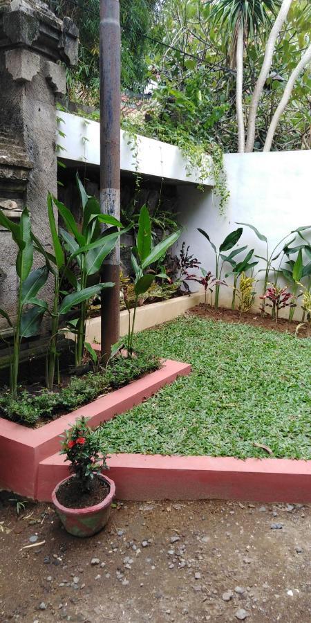 Shalana Homestay- Formerly Teka Teki House 세미냑 외부 사진